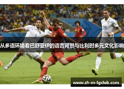 从多语环境看巴舒亚伊的语言背景与比利时多元文化影响 从多语环境看巴舒亚伊的语言背景与比利时多元文化影响