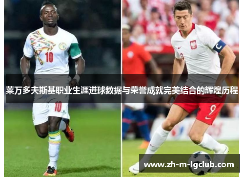 莱万多夫斯基职业生涯进球数据与荣誉成就完美结合的辉煌历程