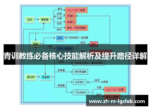 青训教练必备核心技能解析及提升路径详解 青训教练必备核心技能解析及提升路径详解
