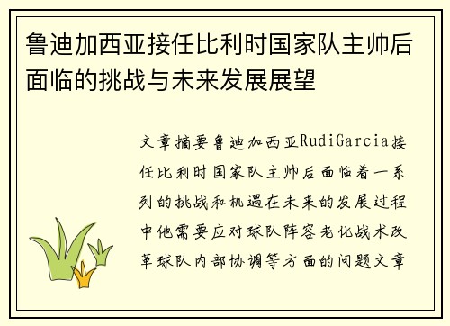 鲁迪加西亚接任比利时国家队主帅后面临的挑战与未来发展展望