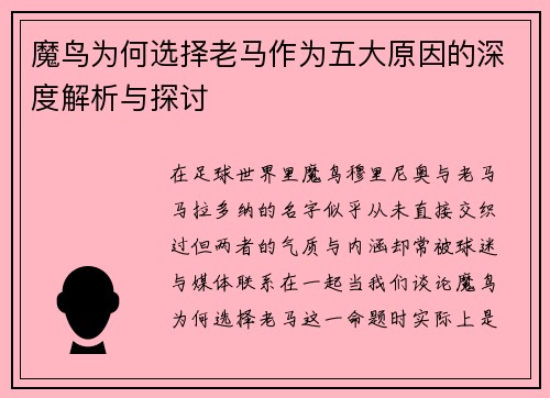 魔鸟为何选择老马作为五大原因的深度解析与探讨
