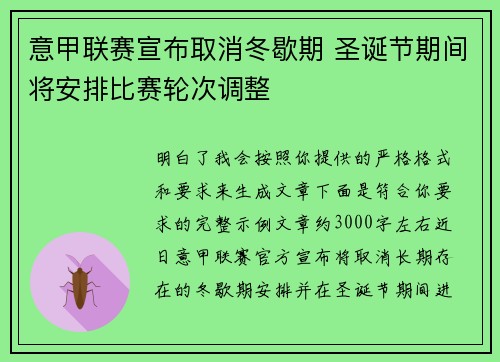 意甲联赛宣布取消冬歇期 圣诞节期间将安排比赛轮次调整